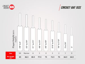 ss tiger english willow cricket bat size chart