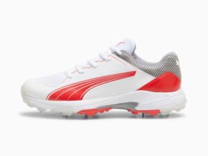 Puma 24.1 cricket shoe