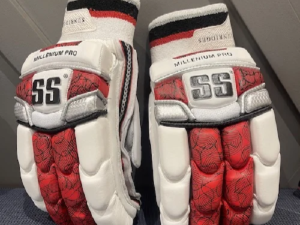 SS Millenium pro gloves
