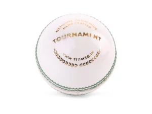 SG Tournament Cricket Leather Ball (White)