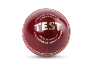 SG Test Leather Cricket Ball (Red)